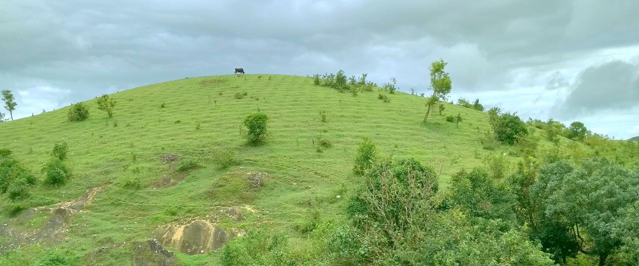 Готель Vagamon Clouds Екстер'єр фото